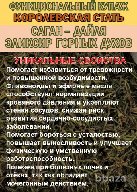 Функциональный купаж «КОРОЛЕВСКАЯ СТАТЬ» Зелёный чай №110 и Саган-дайля Сочи - изображение 4