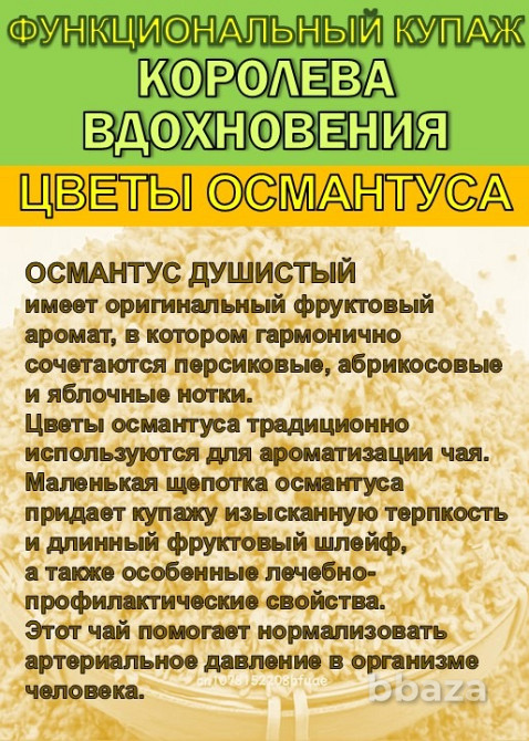 Функциональный купаж «Королева Вдохновения» Зелёный чай №95 цветы Османтуса Сочи - изображение 4