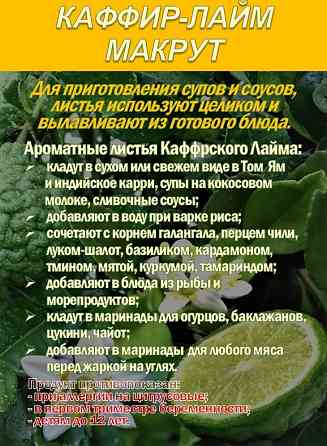 КАФФИР-ЛАЙМ. МАКРУТ. Лист сушеный. Сочи