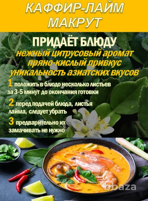 КАФФИР-ЛАЙМ. МАКРУТ. Лист сушеный. Сочи - изображение 2