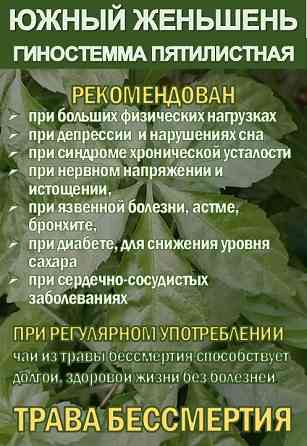 Фиточай Джиаогулан. Гиностемма пятилистная. Южный женьшень. Сочи