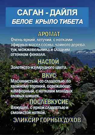 Фиточай Саган-Дайля. Белое Крыло. Сочи