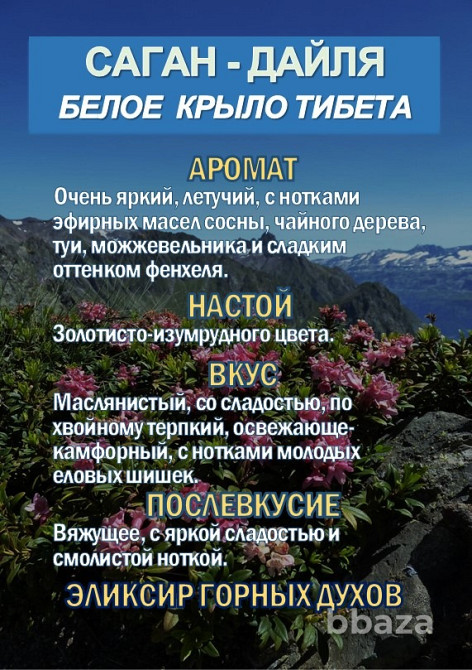 Фиточай Саган-Дайля. Белое Крыло. Сочи - изображение 4