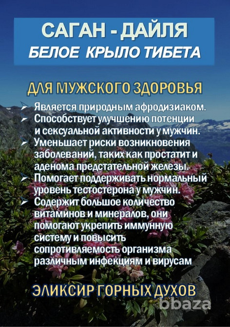 Фиточай Саган-Дайля. Белое Крыло. Сочи - изображение 3