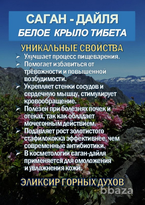 Фиточай Саган-Дайля. Белое Крыло. Сочи - изображение 2