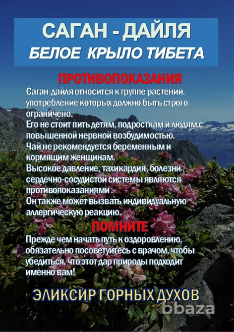 Фиточай Саган-Дайля. Белое Крыло. Сочи - изображение 6