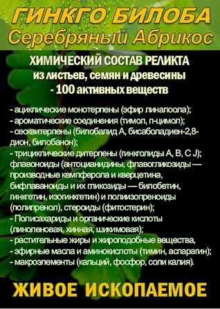 Функциональны чай. Листья Гинкго двулопастного Ginkgo Bilobae folia Сочи