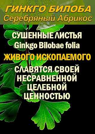 Функциональны чай. Листья Гинкго двулопастного Ginkgo Bilobae folia Сочи