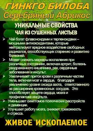 Функциональны чай. Листья Гинкго двулопастного Ginkgo Bilobae folia Сочи