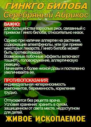 Функциональны чай. Листья Гинкго двулопастного Ginkgo Bilobae folia Сочи