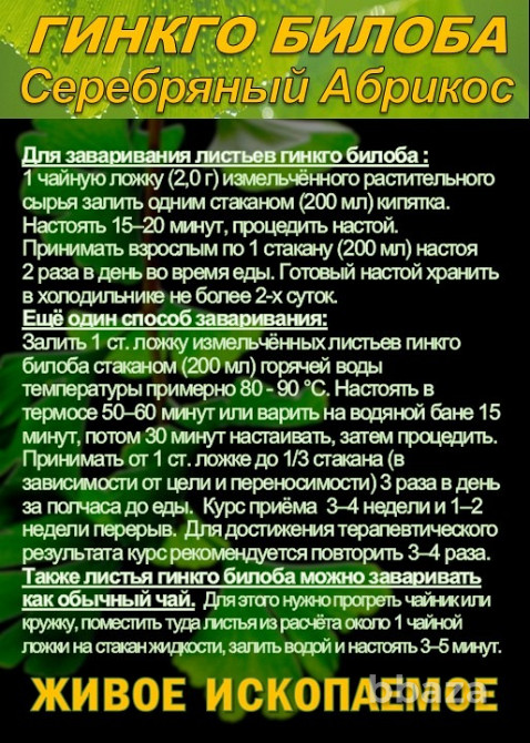 Функциональны чай. Листья Гинкго двулопастного Ginkgo Bilobae folia Сочи - изображение 4