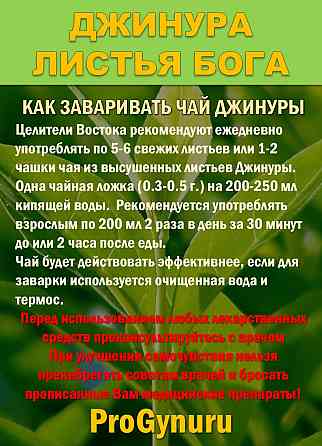 Фиточай Джинура Прокумбенс. Гинура. Сушёный лист. Сочи