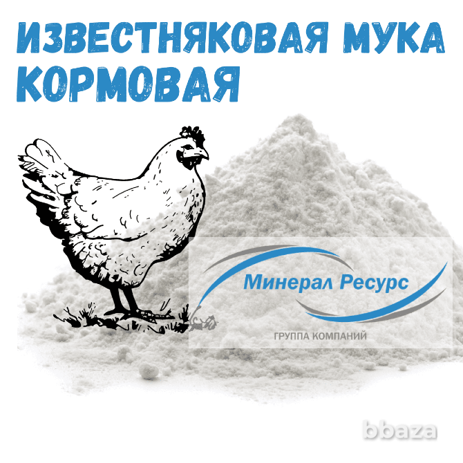 Известняковая мука для подкормки птицы и производства комбикормов Екатеринбург - изображение 1