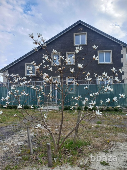 Дом (для жизни и коммерции) первая линия Калининград - изображение 1