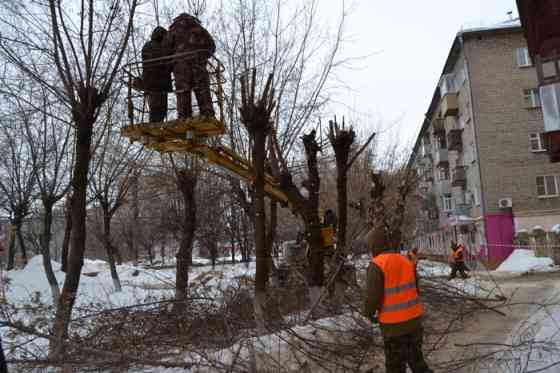 Снос и обрезка деревьев. Расчистка участков. Утилизация порубочных остатков Новосибирск