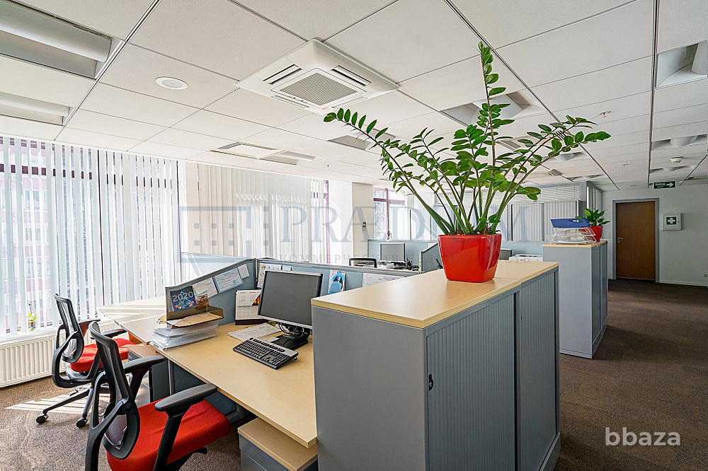 Сдается офисное помещение 295 м² Москва - изображение 1