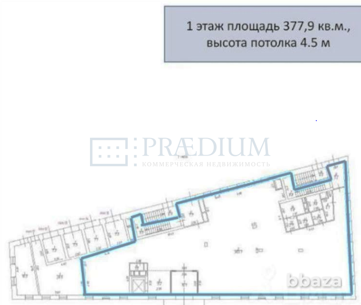 Продается помещение свободного назначения 869 м² Москва - изображение 8
