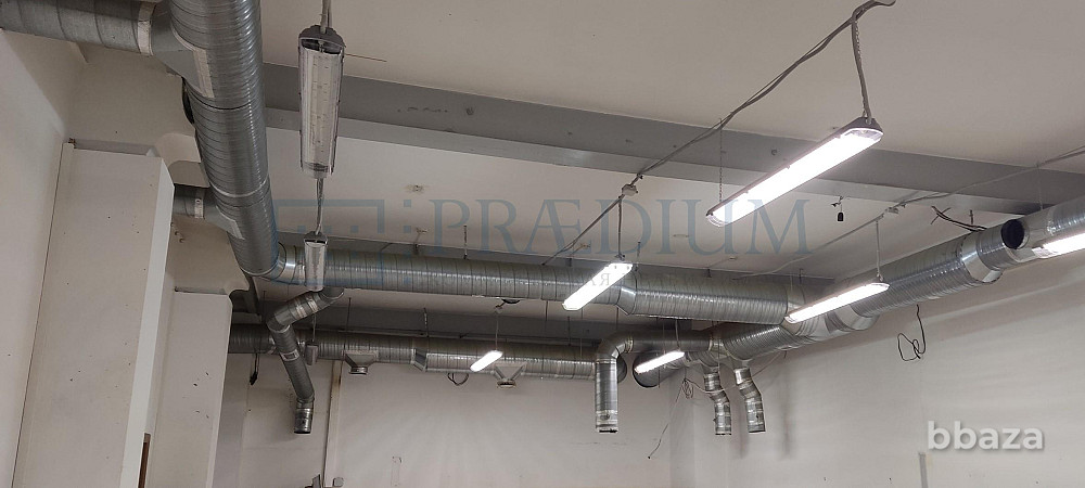 Сдается офисное помещение 336 м² Москва - изображение 4