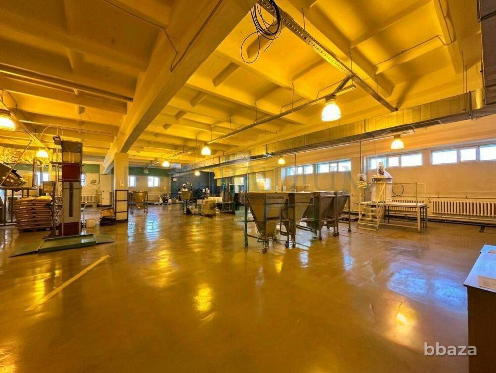 Сдается помещение 7391.70 м² Москва - изображение 2