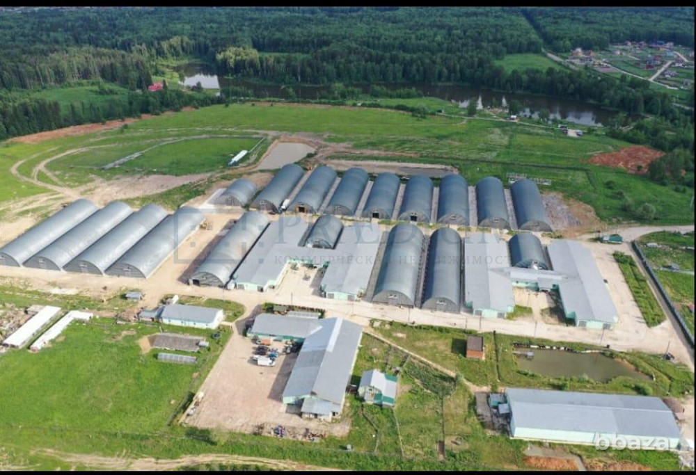 Сдается помещение 1500.00 м² Москва - изображение 4