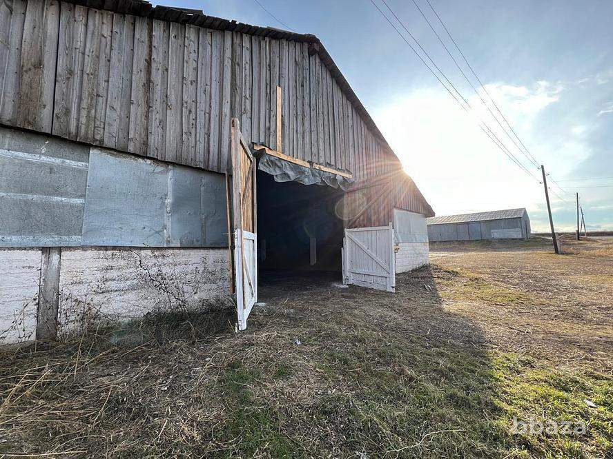 Продается склад 2699.8 м2 Красноярский край - изображение 2