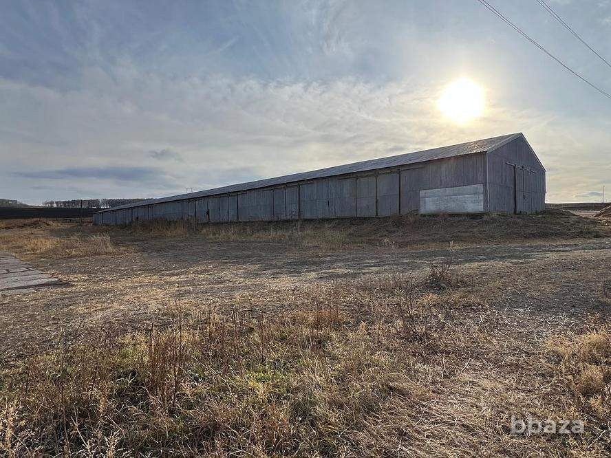 Продается склад 2699.8 м2 Красноярский край - изображение 5