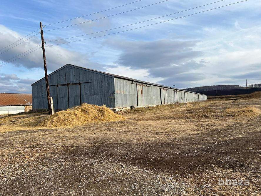 Продается склад 2699.8 м2 Красноярский край - изображение 4