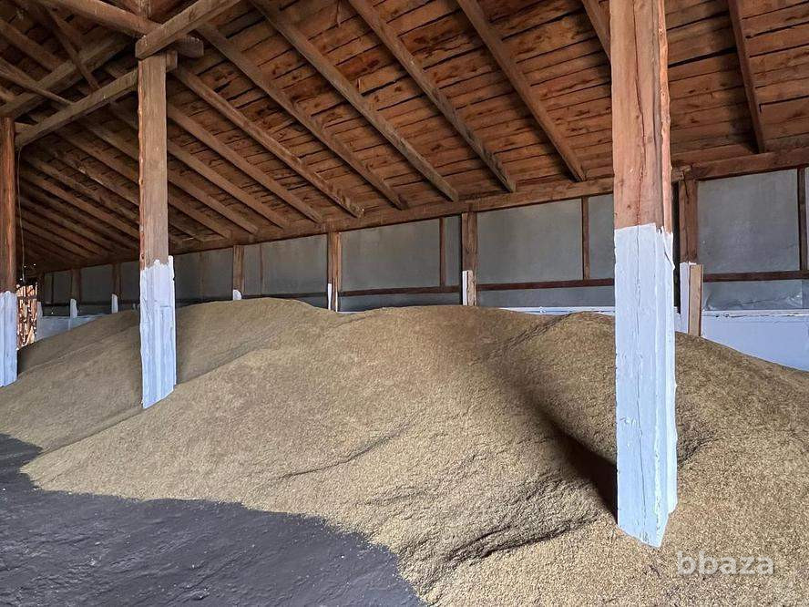 Продается склад 2699.8 м2 Красноярский край - изображение 3