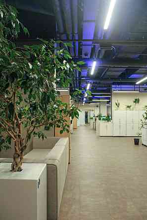 Продается ПСН 615,2 м2 Санкт-Петербург