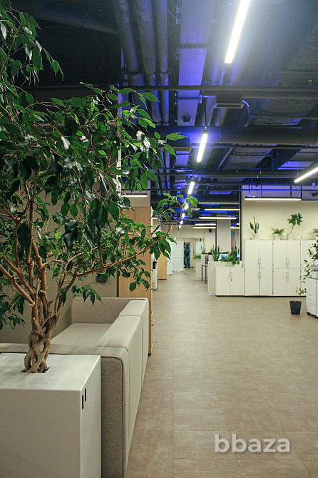 Продается ПСН 615,2 м2 Санкт-Петербург - изображение 1