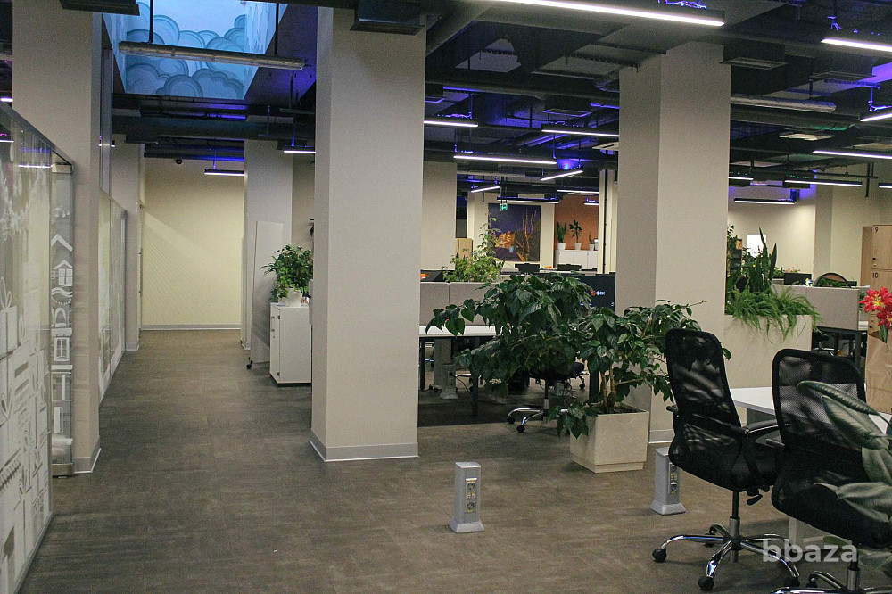 Продается ПСН 615,2 м2 Санкт-Петербург - изображение 5