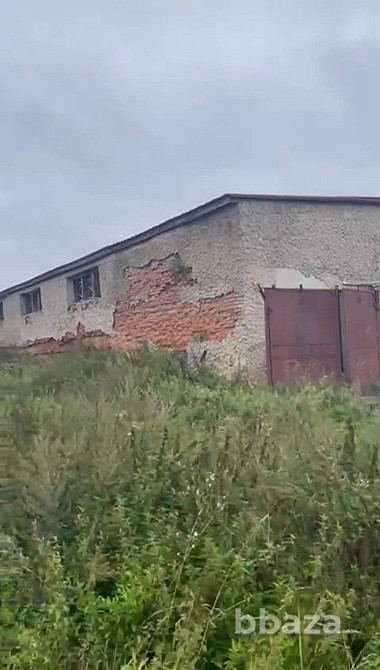 Аренда здания 342 м2 с магистральным газом и 150 кВт Шаховская - изображение 3