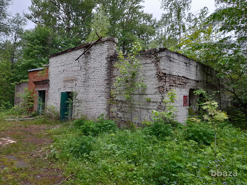 Земельно-имущественный комплекс 43 Га Краснозаводск - изображение 3
