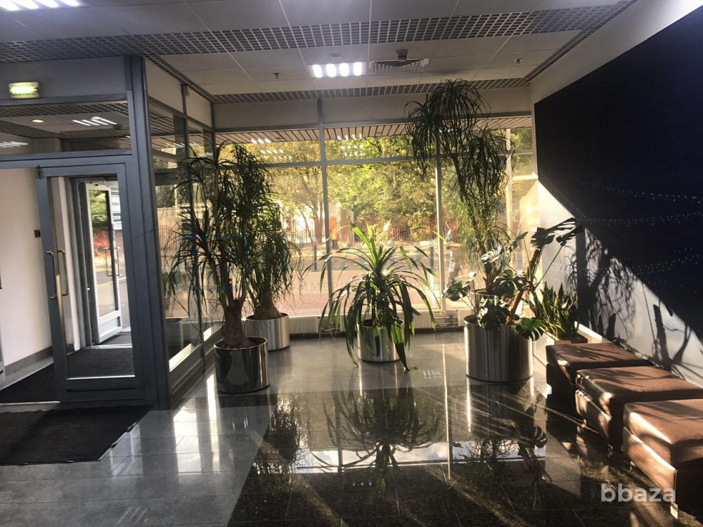 Сдается офисное помещение 446 м² Москва - изображение 3