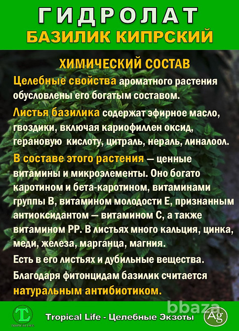 Гидролат Кипрского Базилика с Наносеребром. ProGynuru. Сочи - изображение 4