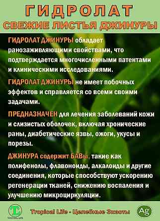 Гидролат Джинуры с Наносеребром. Gynura procumbens. ProGynuru. Сочи