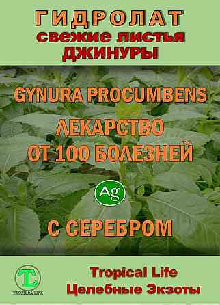 Гидролат Джинуры с Наносеребром. Gynura procumbens. ProGynuru. Сочи