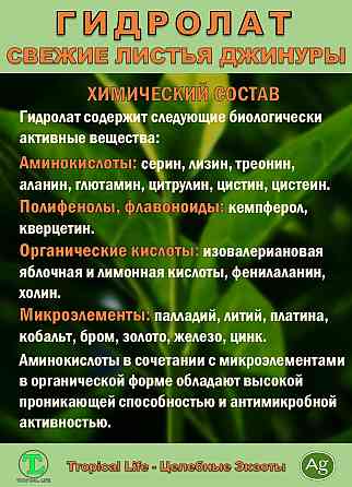 Гидролат Джинуры с Наносеребром. Gynura procumbens. ProGynuru. Сочи
