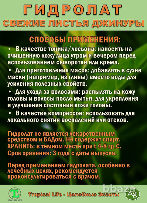 Гидролат Джинуры с Наносеребром. Gynura procumbens. ProGynuru. Сочи - изображение 7