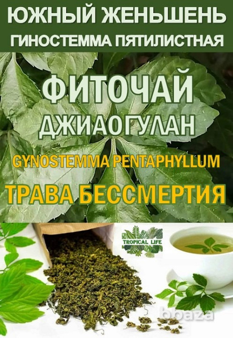 Гидролаты. Тизаны. Функциональные купажи. ProGynuru Сочи - изображение 2