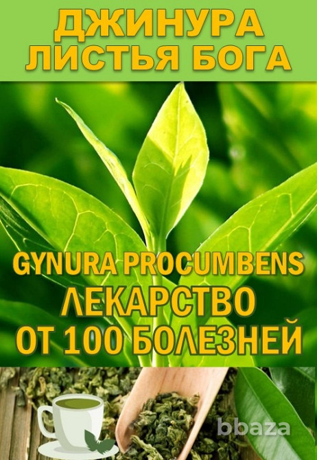 Гидролаты. Тизаны. Функциональные купажи. ProGynuru Сочи - изображение 1