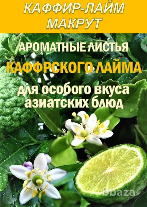 Гидролаты. Тизаны. Функциональные купажи. ProGynuru Сочи - изображение 10