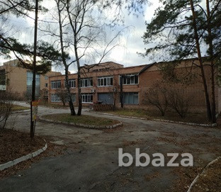 База отдыха «Волна» Рязанская область - изображение 3