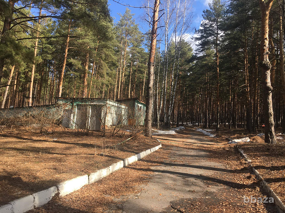 База отдыха «Волна» Рязанская область - изображение 9