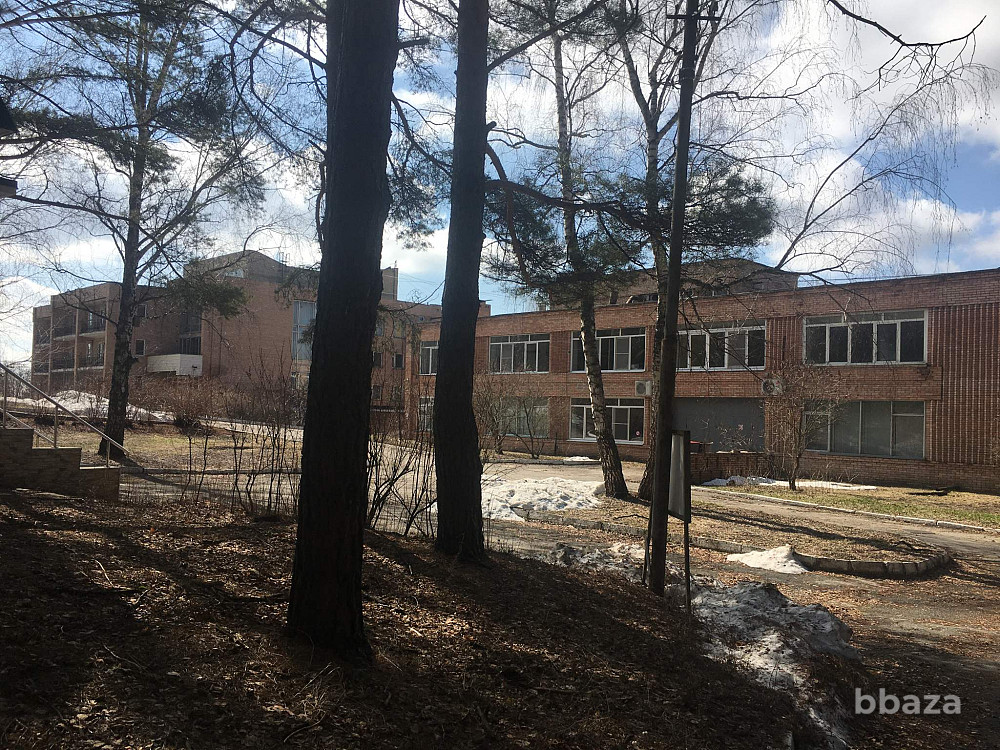 База отдыха «Волна» Рязанская область - изображение 6