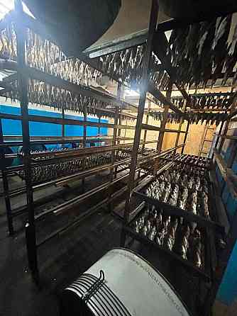 Продам рыбное Производство Красноярский край