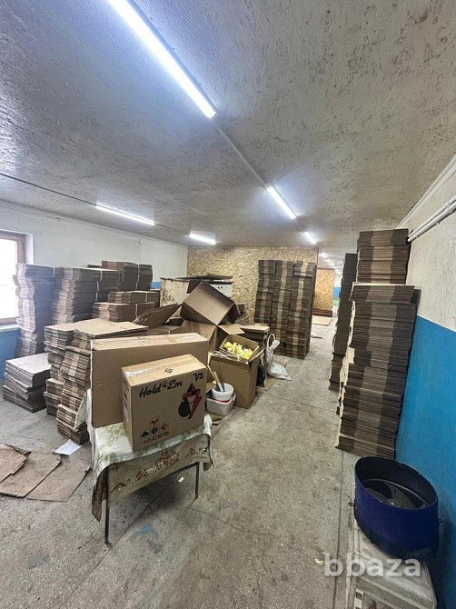 Продам рыбное Производство Красноярский край - изображение 3