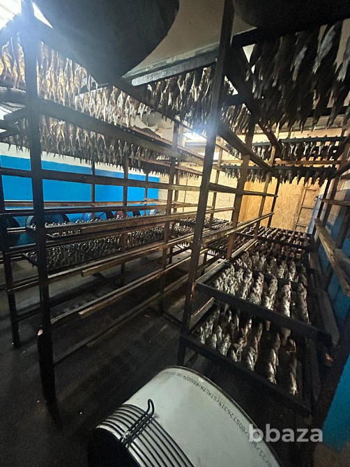 Продам рыбное Производство Красноярский край - изображение 2