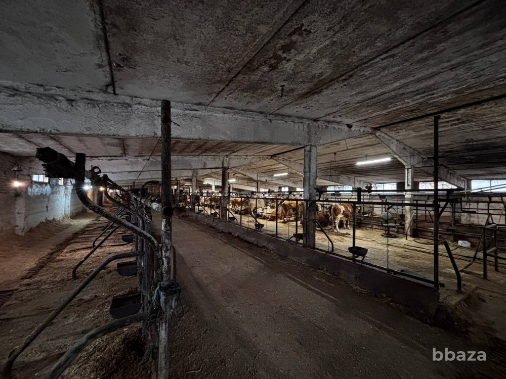 Аренда производства 3350 м2 Наро-Фоминск - изображение 1