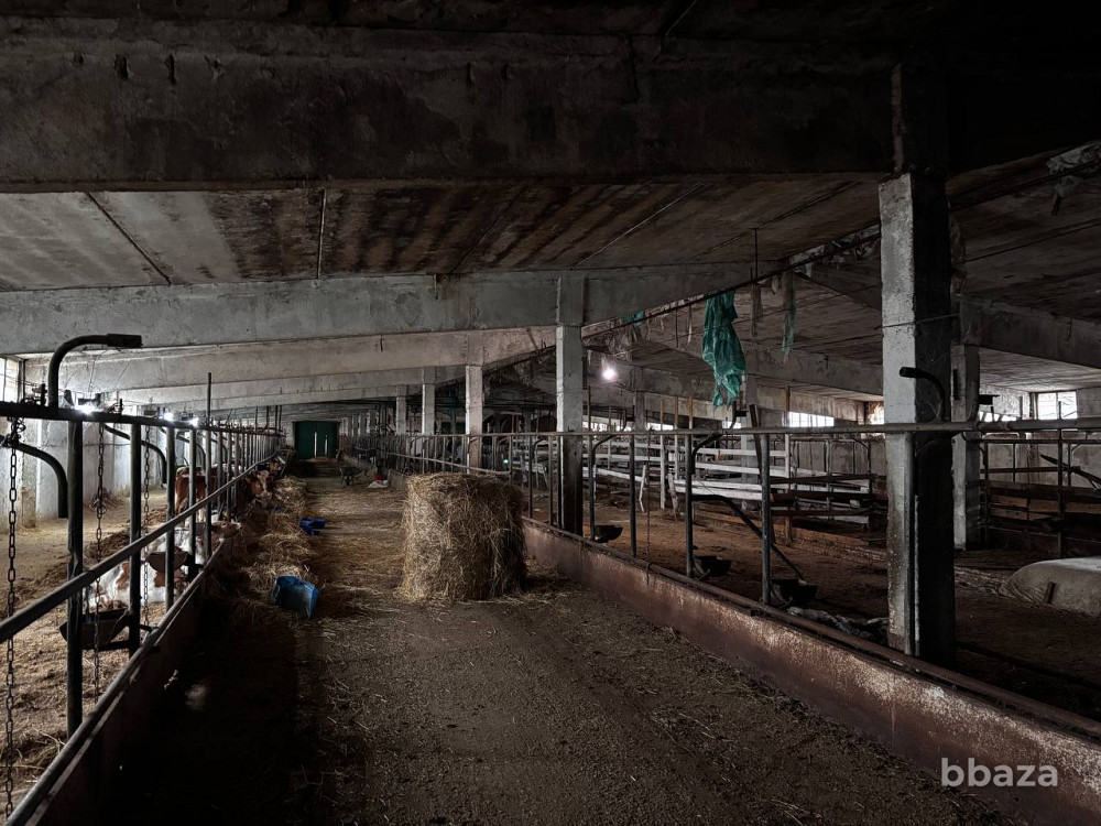 Аренда производства 3350 м2 Наро-Фоминск - изображение 3